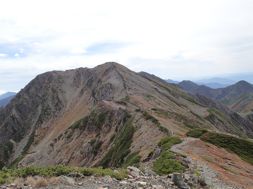 小赤石岳付近から見る赤石岳山頂