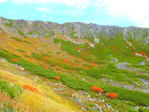 荒川岳西カール