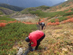 環境省の取り組み２：防鹿柵（ニホンジカの防除）