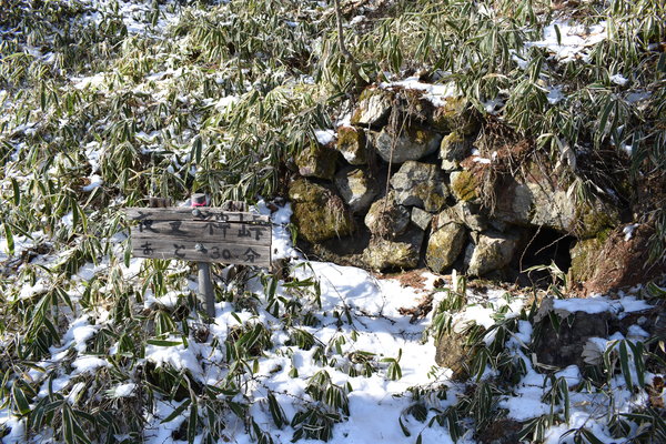 「五本松」のそばにある空洞