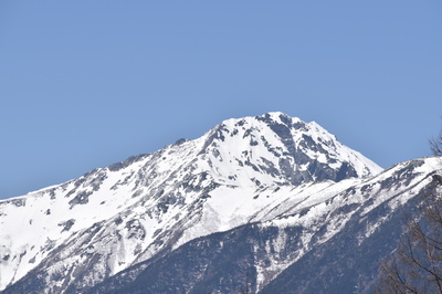 夜叉神峠から見た北岳