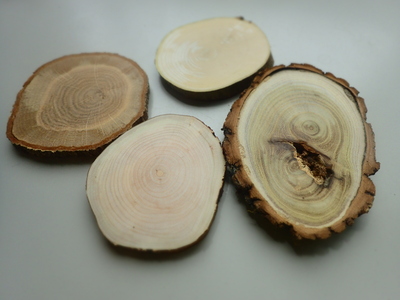 スライスした木