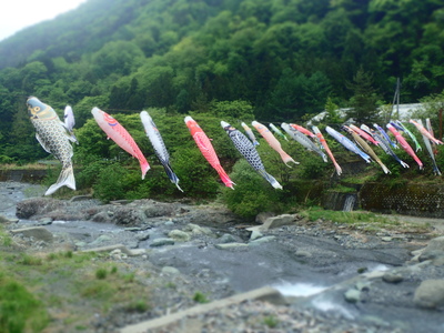 御勅使（みだい）川を元気よく泳ぐこいのぼり