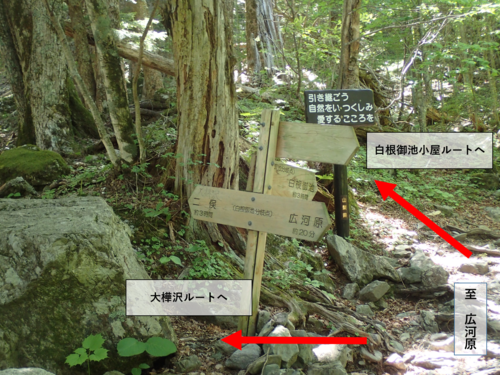 大樺沢ルートと白根御池小屋ルート分岐