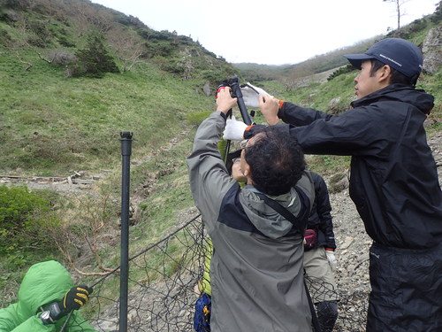 ３　ポールにネットをかけ、結ぶ作業のようす