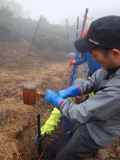 木槌を使って杭を埋めているようす