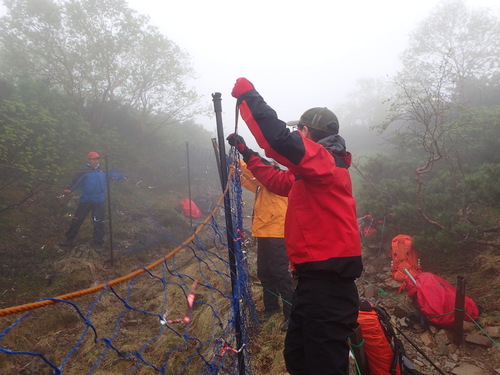 ポールにネットをかけるようす