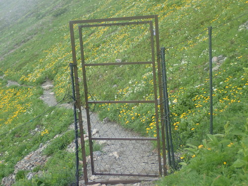 前岳南東斜面登山道上にある防鹿柵扉