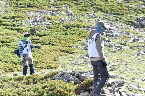 ライチョウ親子を見守り隊