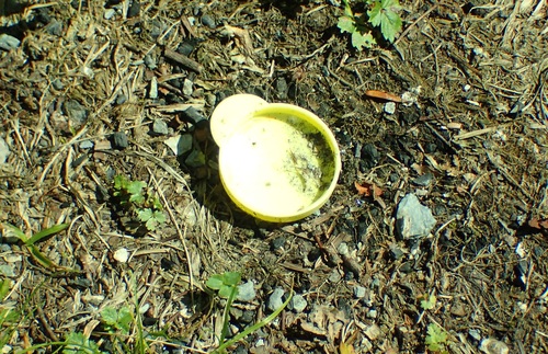 落ちていたガスキャップ