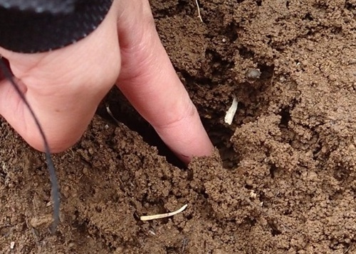 ゴムキャップなしのストックでできた穴