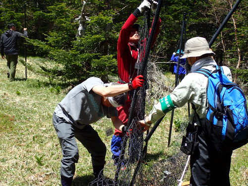 防鹿柵設置のようす