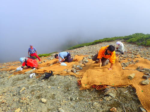 土壌流出防止のため、マットで覆う作業のようす
