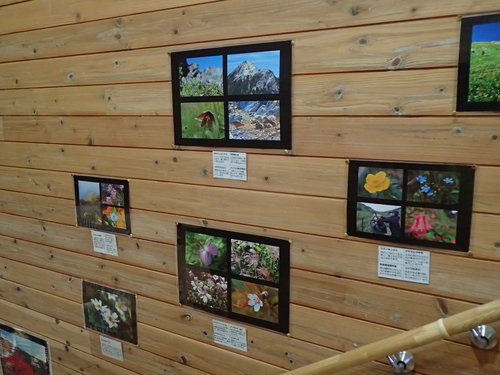 展示のようす その１