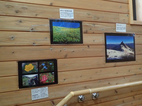 展示のようす その２