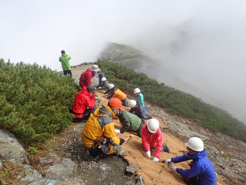 作業のようす その１