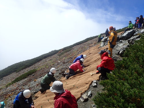 作業のようす その２