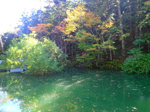 北沢峠に現れた沼　