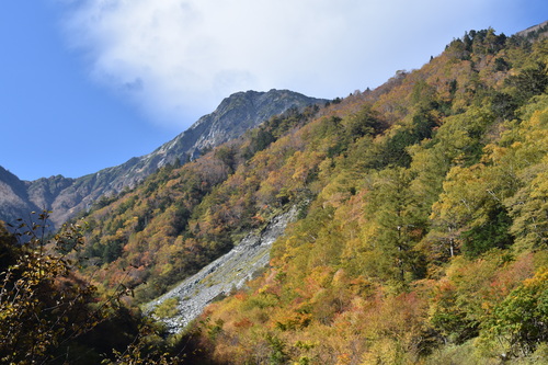 大樺沢ルートから見た紅葉のようす