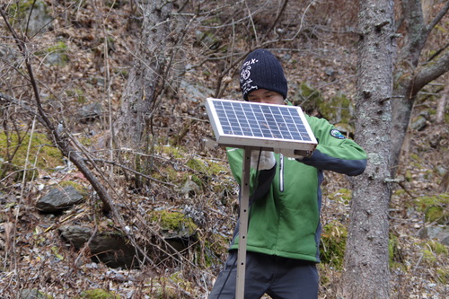 撤去を行う小池保護官