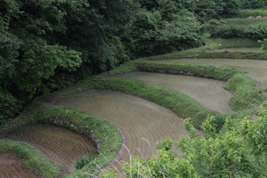 棚田（飯田市）