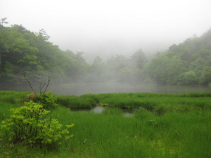 椹池（甘利山・韮崎市）