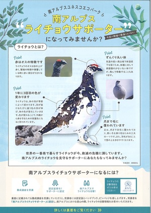 ライチョウの特徴などが描かれたチラシ