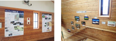 野呂川広河原インフォメーションセンターでの展示