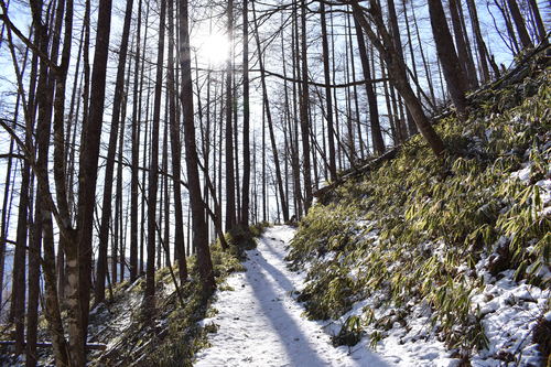 閑散とした登山道