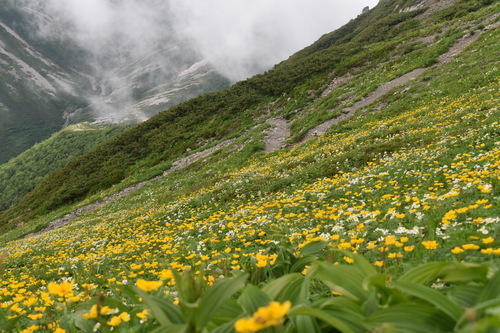 生で見ると息を飲むほど美しい景色です