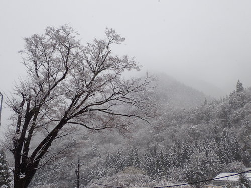 辺り一面が真っ白になった芦安
