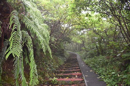 八丈富士登山口