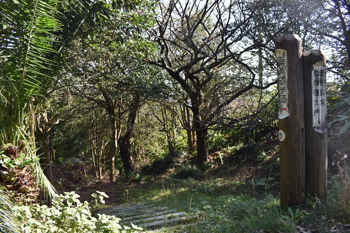 大島公園内の散策路。「海岸遊歩道」の道標に従って進む