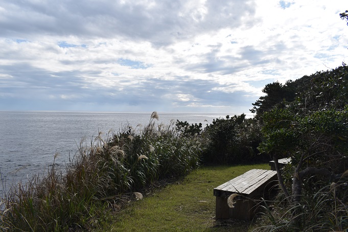 休憩スポットからの眺め。青い海と空、水平線が見える。