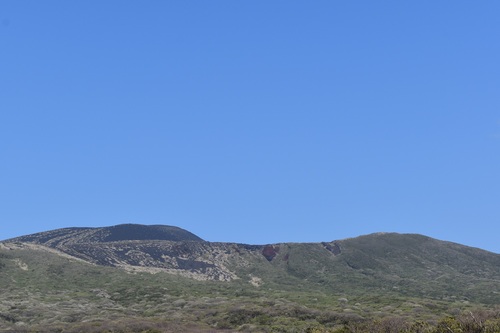 三原山外輪山の南西斜面。緑の森の中にオオシマザクラの桜色が点在する。