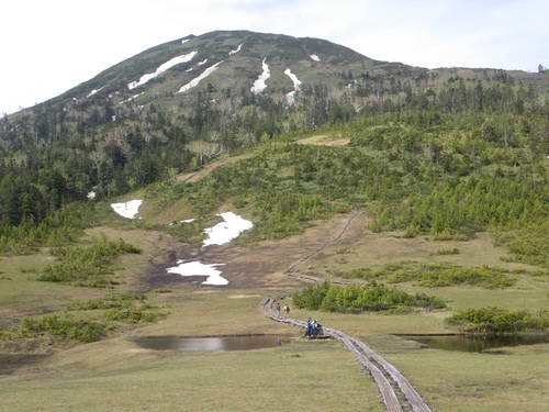 燧ヶ岳の湿原にて