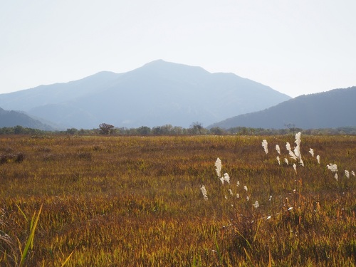 草紅葉の尾瀬ヶ原から至仏山を望む