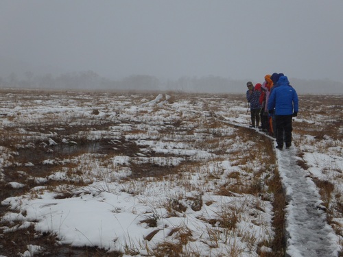 ボランティアの自然解説に聞き入る参加者