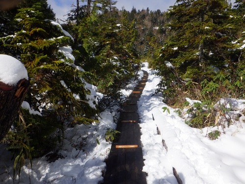 木道上に等間隔に設置された桟木