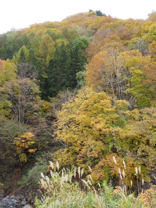 事務所の窓から見える風景