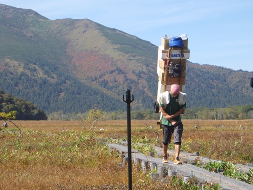 尾瀬ヶ原を歩く歩荷