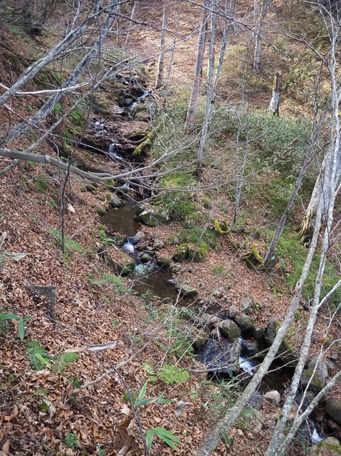 道行沢の流れ