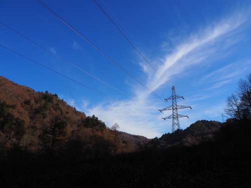 森から出て見た秋の空