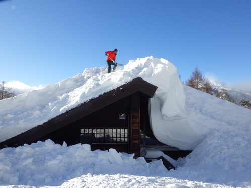 旧ビジターセンターが姿を現してきました
