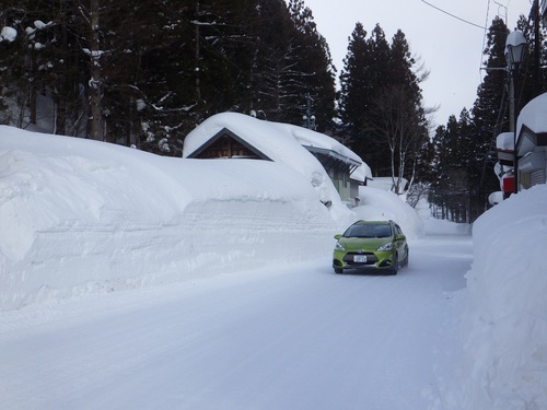 村内の積雪の状況