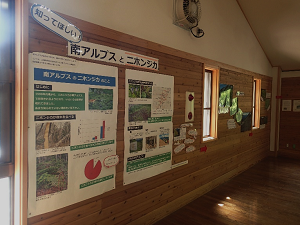 以前の南アルプスとニホンジカの展示