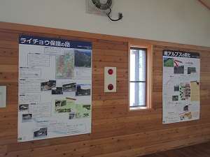 現在の展示。左：ライチョウ保護の話、右：南アルプスの変化（ニホンジカ）