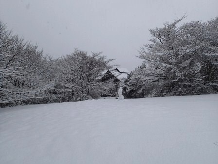 奥に見えるのが箱根ビジターセンターの屋根です