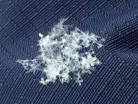 雪の結晶見えますか？