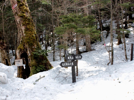 ４月25日の北沢峠の様子